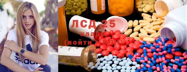 прущие грибы Богородицк