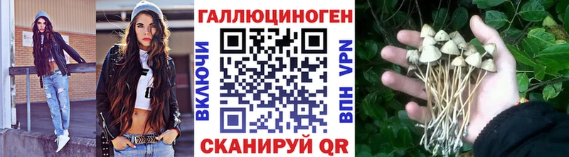 Галлюциногенные грибы Magic Shrooms  где найти   Вязники 